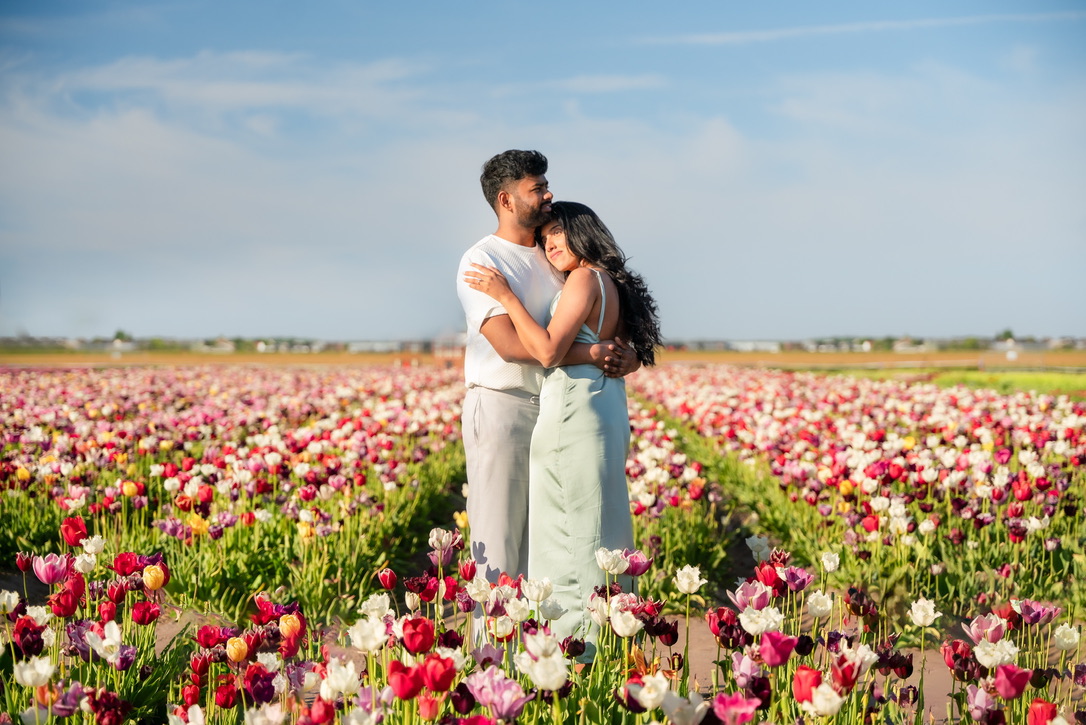 Shajeethan kissing Sheffinea’s forehead in the tulip field